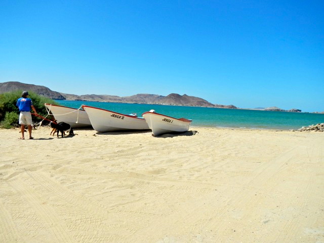 Gonzaga bay Mexico boat rentals