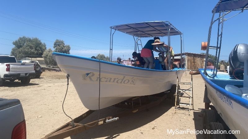 Bahia de Los Angeles whale shark boat