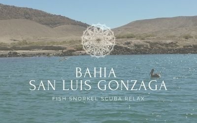 Things to do near San Felipe - Visit Bahia San Luis Gonzaga