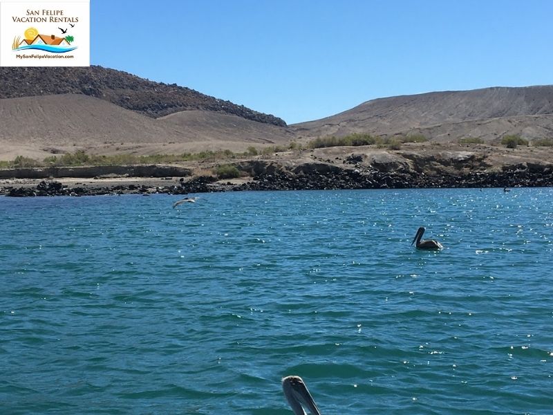 Tranquil waters of Bahia San Luis Gonzaga - aka Gonzaga Bay