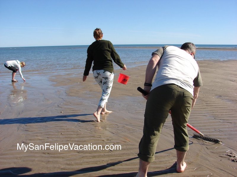 Clamming on the beach El Dorado Ranch San Felipe