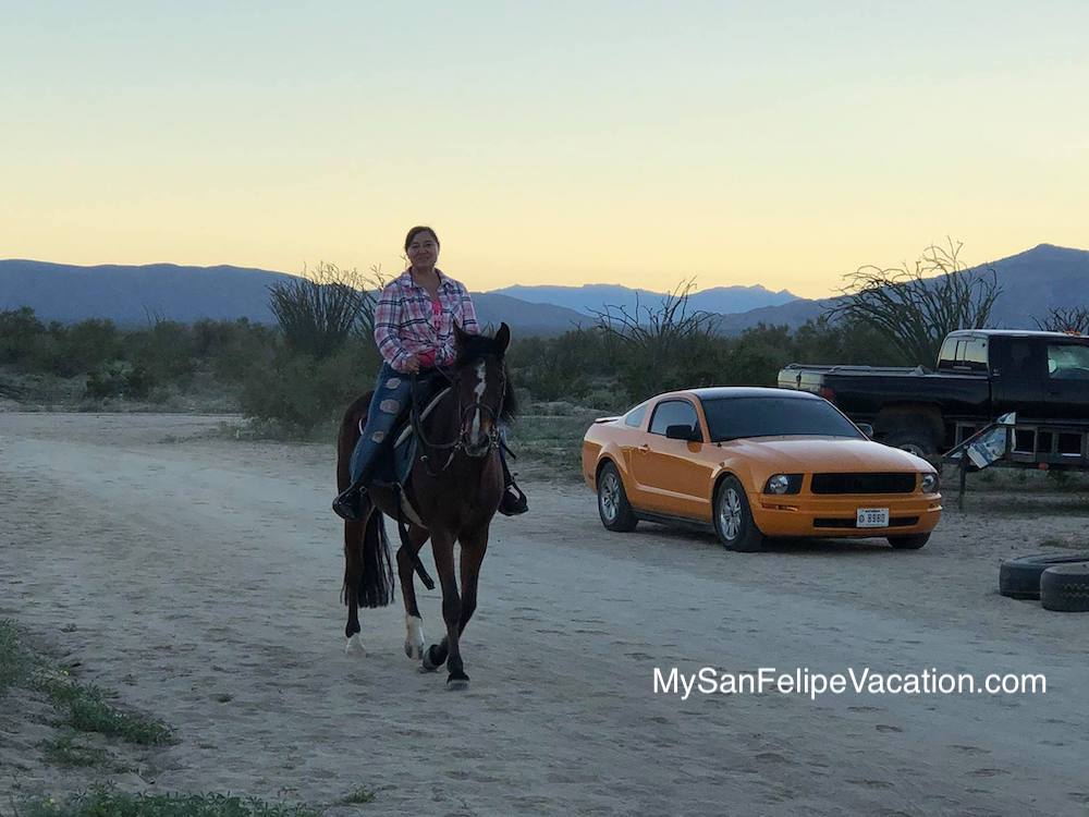 Horseback riding in El Dorado Ranch San Felipe