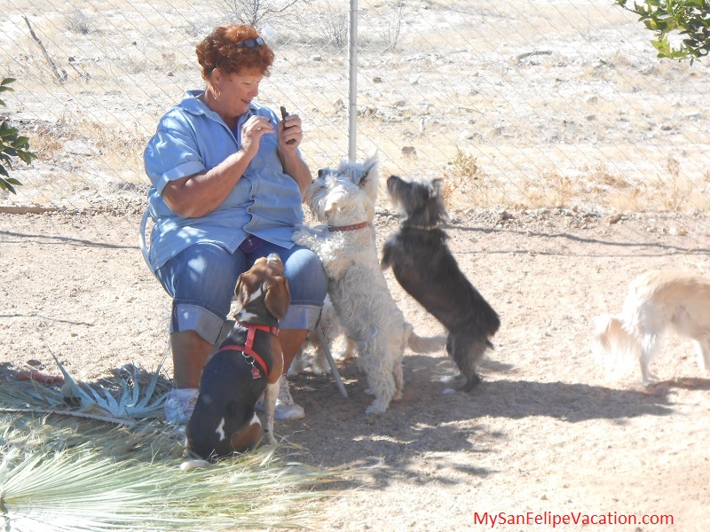 Vickie of Baja Bed and Biscuity San Felipe