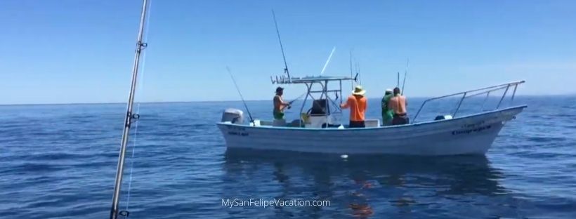 San Felipe Mexico Fishing