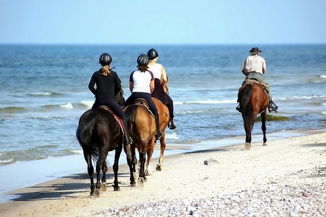 San Felipe Horseback Riding