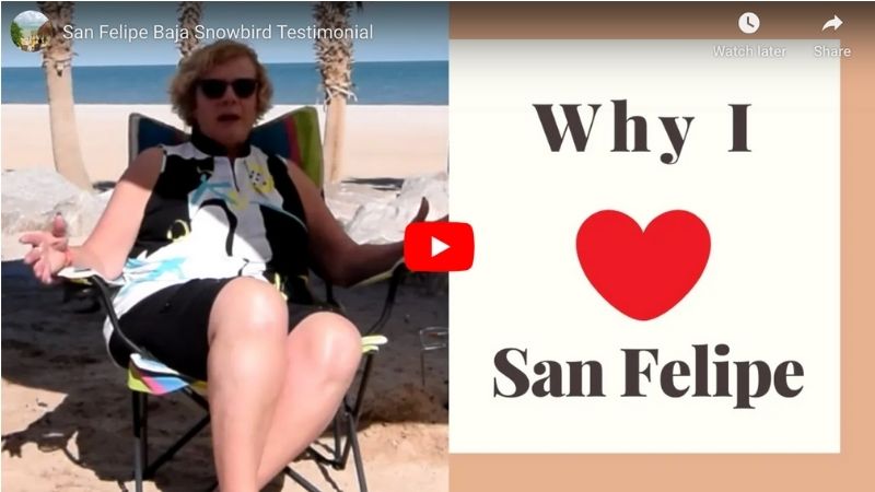 San Felipe Baja Snowbird review