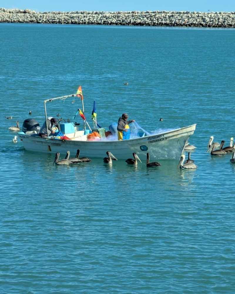 Small group on a boat heading out to sea
