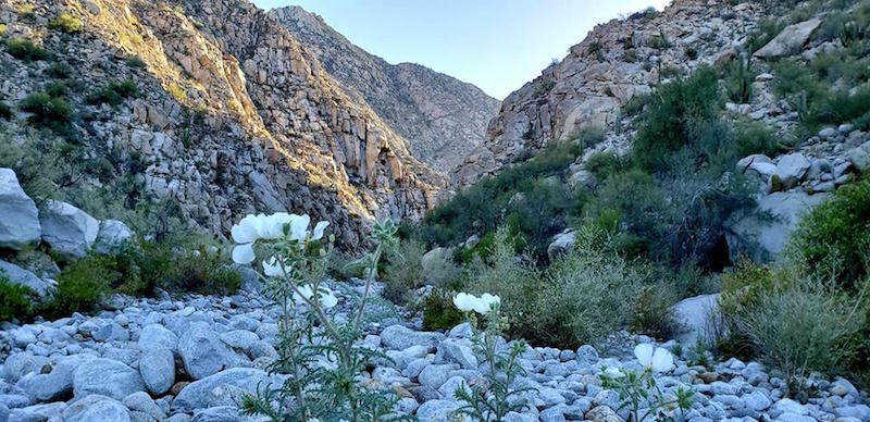 canyon del diablo San Felipe