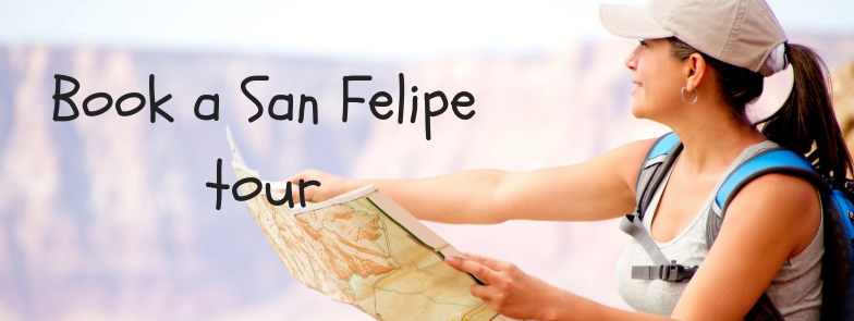 Book a San Felipe tour