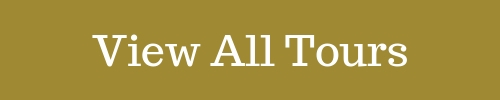 View all tours and excursions