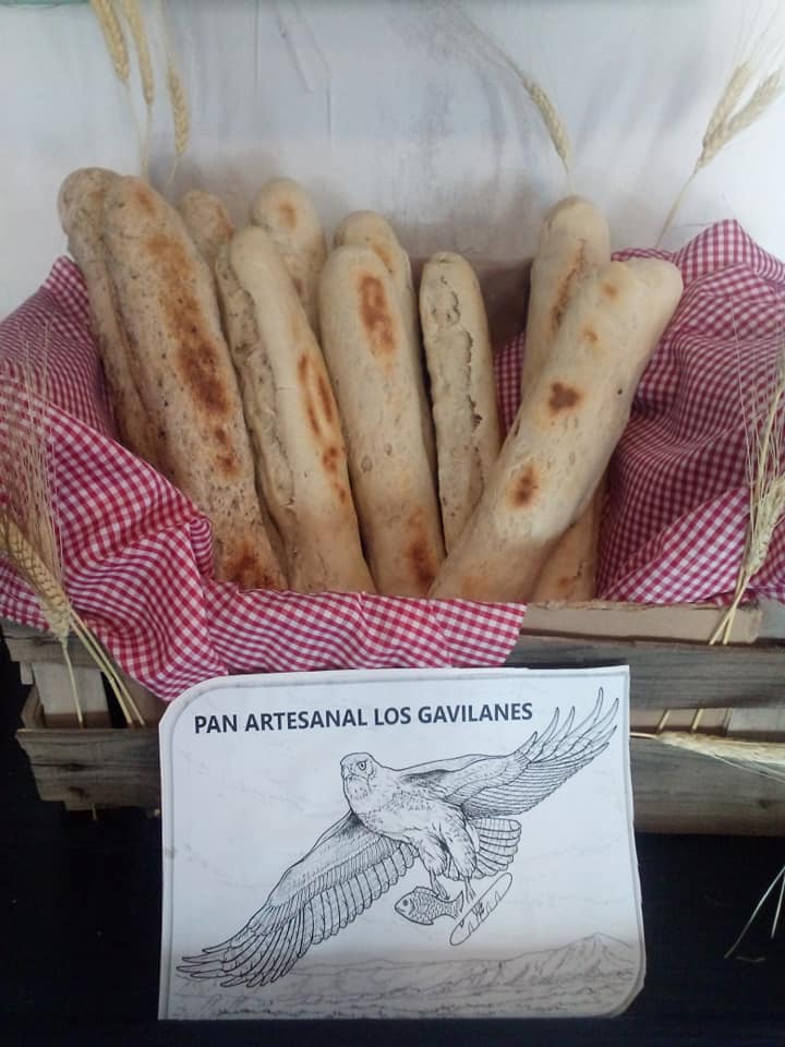 Fresh bread at cg cava boutique San Felipe