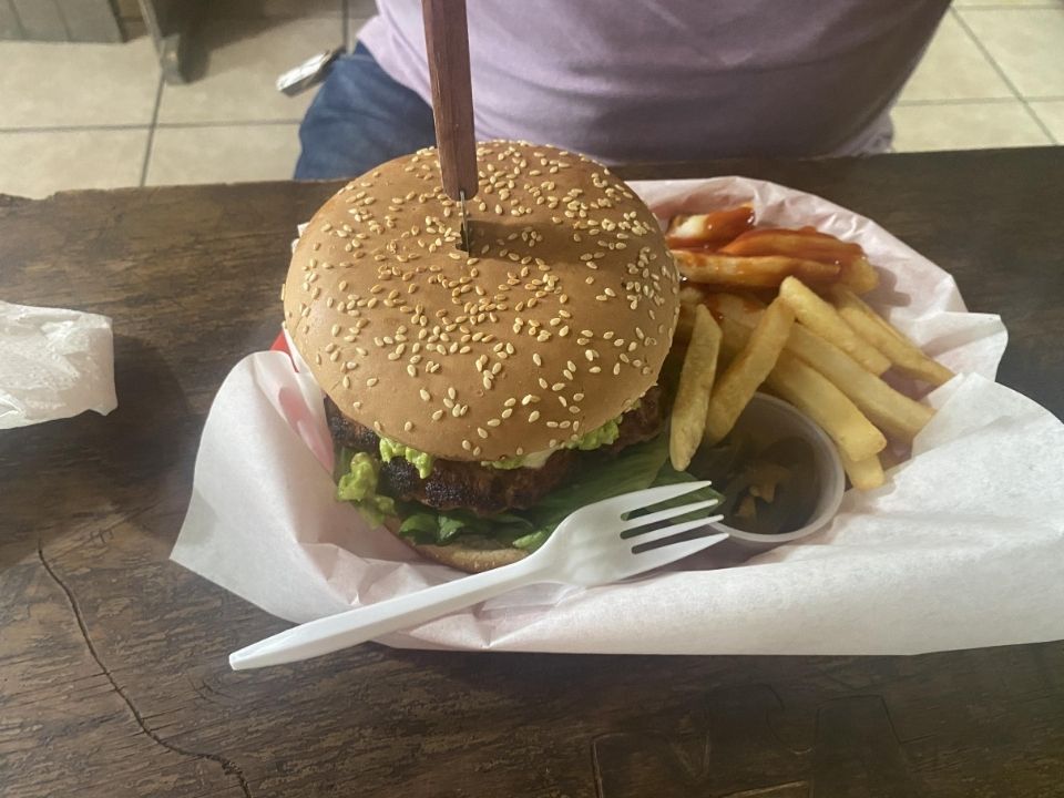 coyote-burger-and-ensaladas-san-felipe-classic-cheese-burger