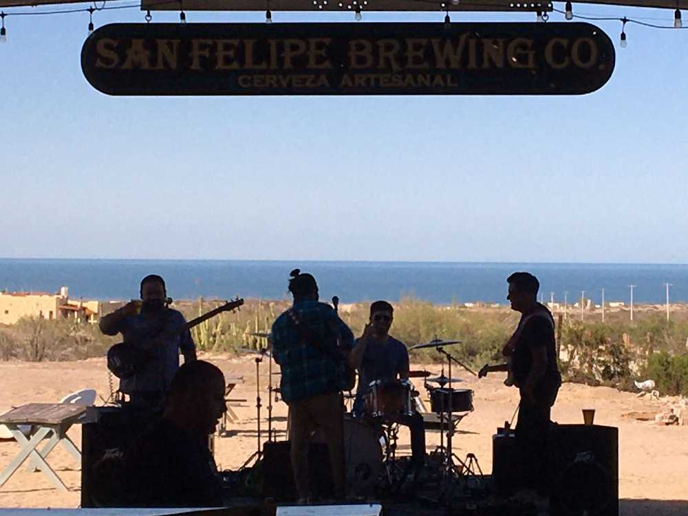 Live music at San Felipe brewing