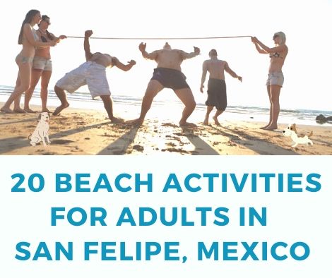 Fun beach activities for adults in San Felipe
