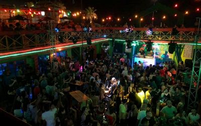 Experience the Nightlife and Dining Scene of San Felipe