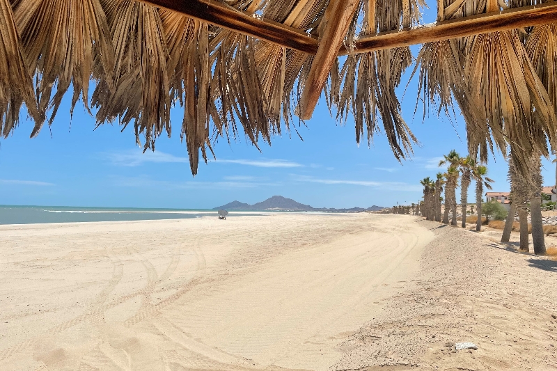 palapa-beach-view-of-san-felipe-baja-california