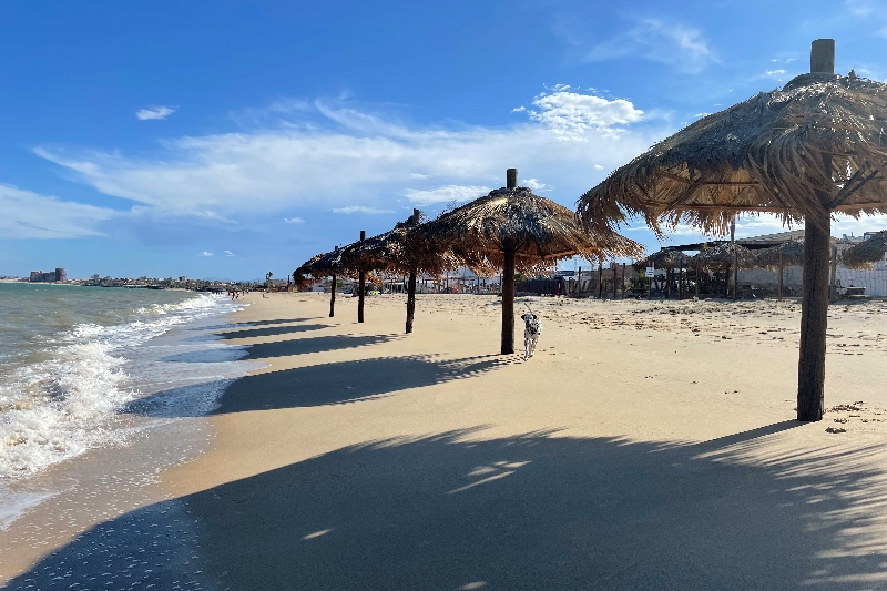 Top 10 Reasons to Come to The Beach-Town of San Felipe Baja California Mexico
