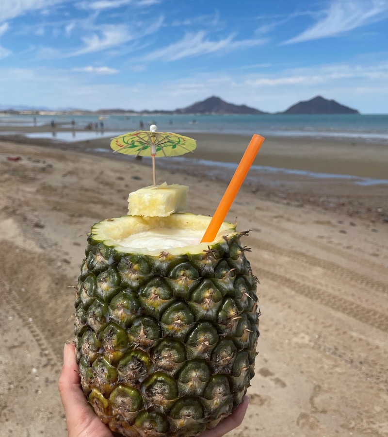 enjoying-pineapple-in-the-beach-san-felipe-baja-california